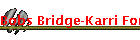 Bobs Bridge-Karri Forest-Pemberton Australia