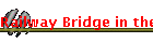 Railway Bridge in the Forest in Pemberton Western Australia