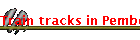 Train tracks in Pemberton Australia Rail Yard-Tramway Tours