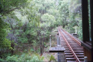 Railroad track in Pemberton Western Australia. Photo from Train.