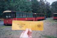 Ticket for tram tour of the forest.