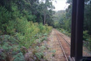 Train tracks in Pemberton Western Australia - picture from tram.