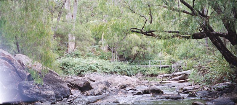 Cascades in Pemberton Forest - Western Australia.