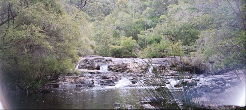 Photos of the Cascades Brook in the Pemberton Forest - Western Australia.