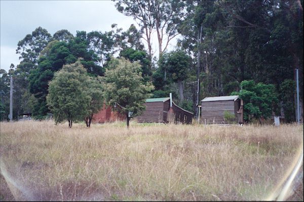 Logging cabins in the forest of Pemberton Western Australia. Image