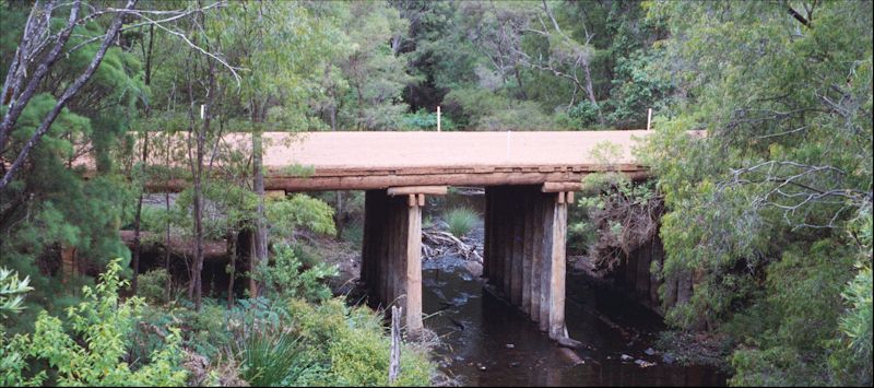 Train for logging industry in Pemberton Forest in Western Australia.