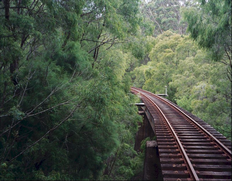 Beautiful picture of a railway track bridge going into the forest in Western Australia.