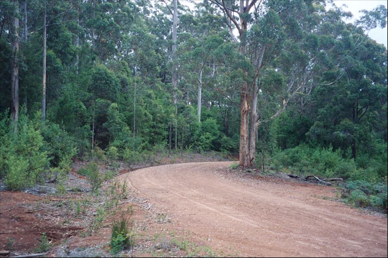 An old red dirt in Western Australia - photo.