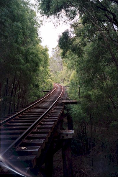 Train tracks disappearing into the woods in Western Australia - photo.