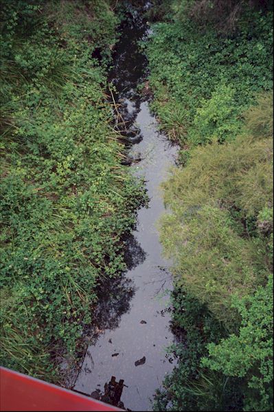 View of small brook from the Pemberton Tramway. Photos.