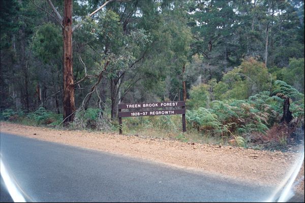 Photo of Treen Brook Forest-Pemberton pictures.