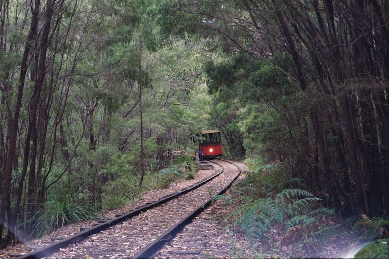 Train tour in Western Australia - Pemberton Forest Tram.