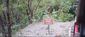 Photograph of Cascade Bridge on the Tram in Pemberton.