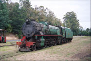 Photo of steam engine in Pemberton Australia.